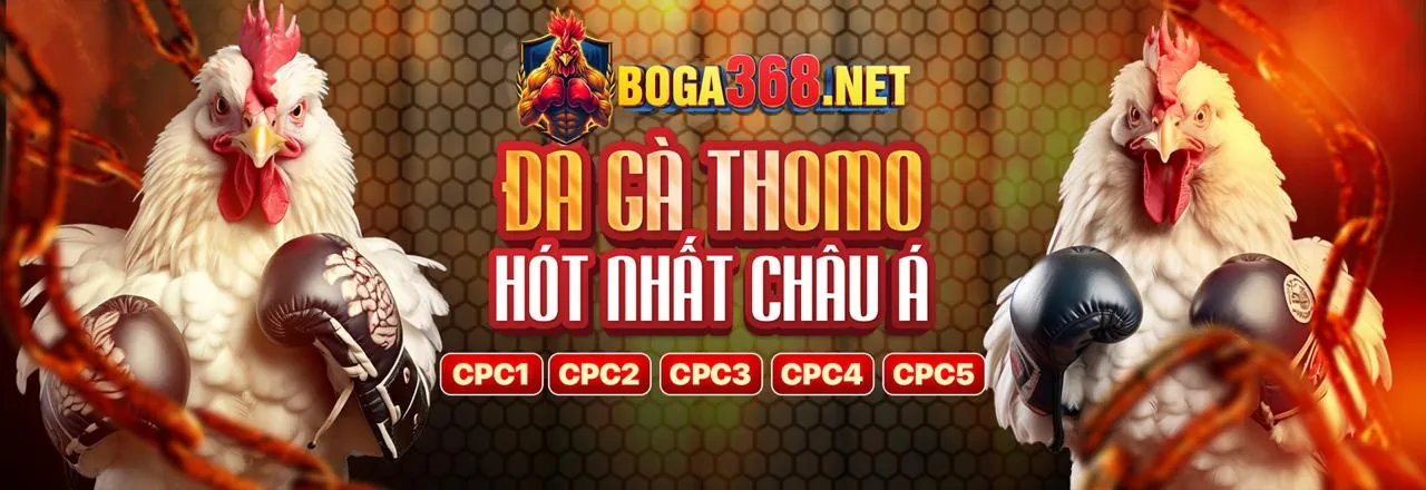 Sòng bạc trực tuyến zh88 link vào với người chia bài chuyên nghiệp